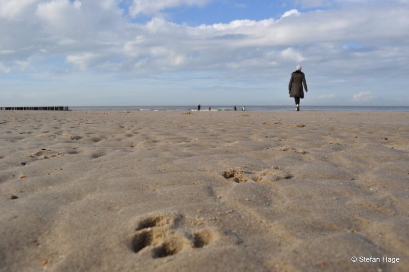 Strand in Zeeland