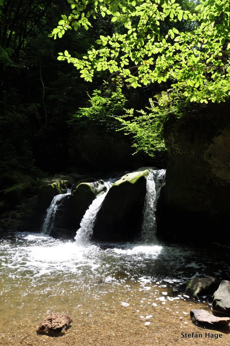 Müllerthal, Luxemburg