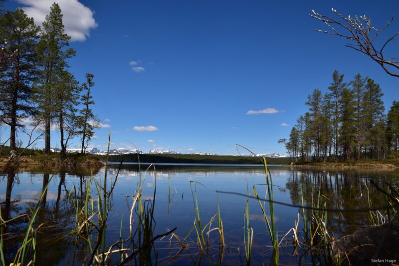 Zweeds landschap ademt rust