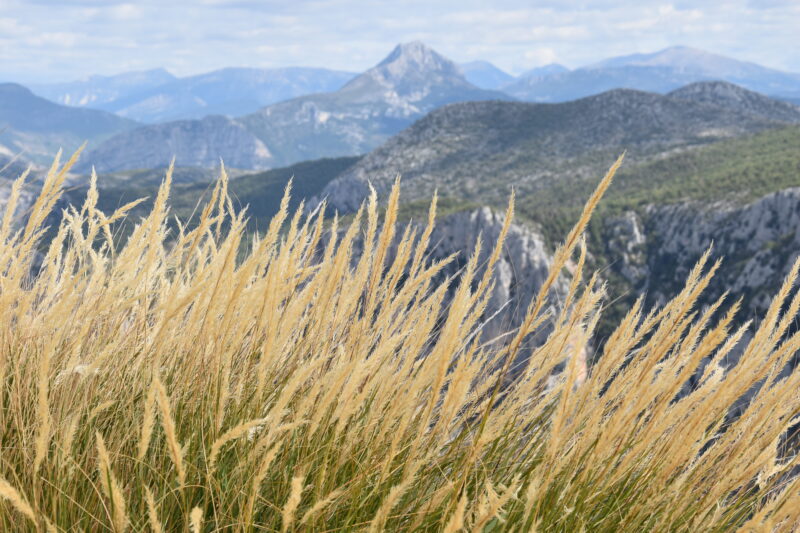 Gorges du Verdon