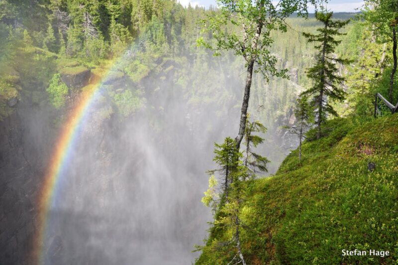 Hällingsåfallet, Zweden