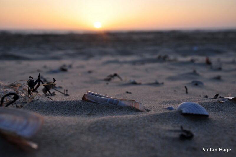 Strand tijdens zonsondergang, Texel