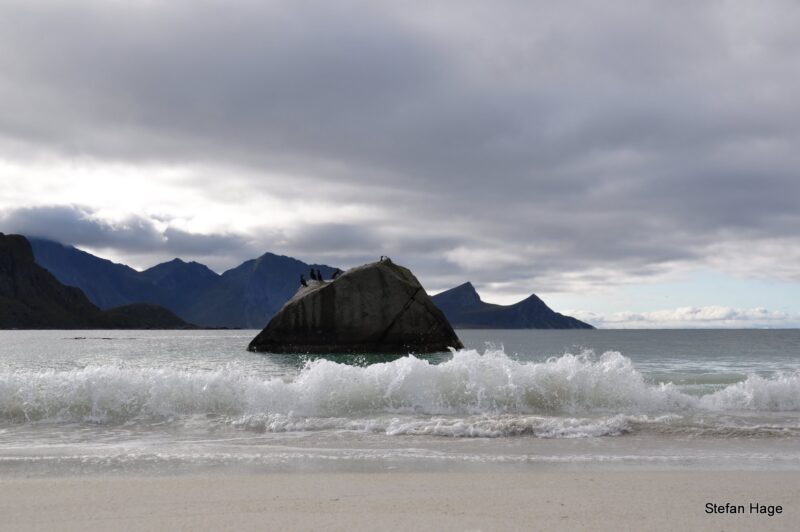 Haukland Beach, Noorwegen (Lofoten)