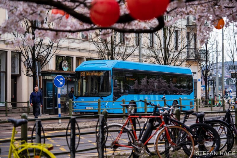 Bloeiende bloesem in de stad Göteborg