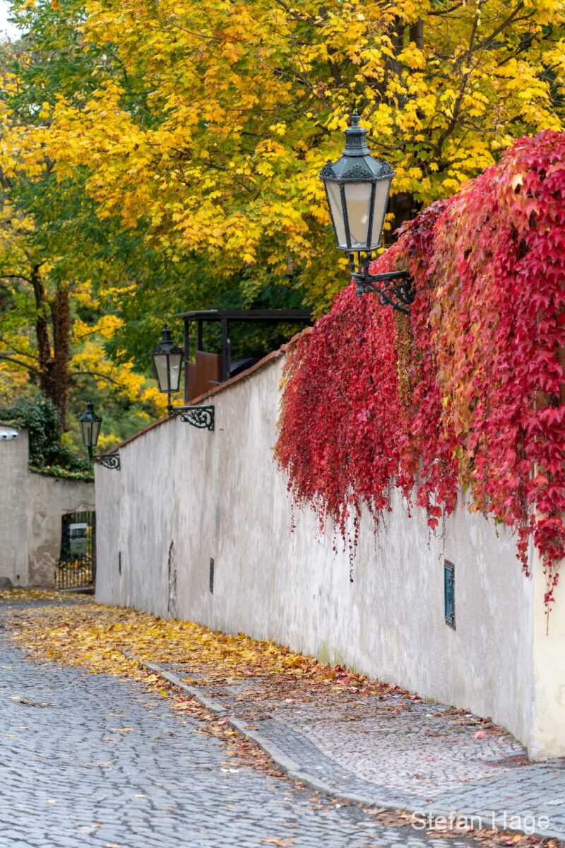 Herfst in Praag
